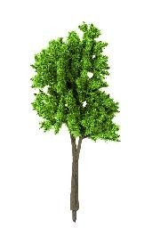 NOCH Arbres printanniers 10pieces hauteur entre 100 et 140mm Decors et diorama