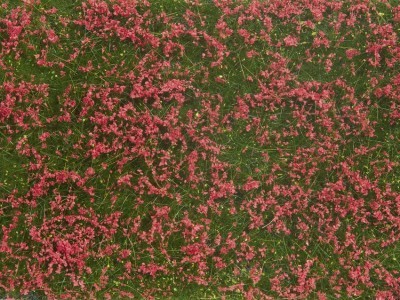 NOCH feuille de foliage couverture végétale (12x 18cm) pré fleurs rouges Decorations and landscapes